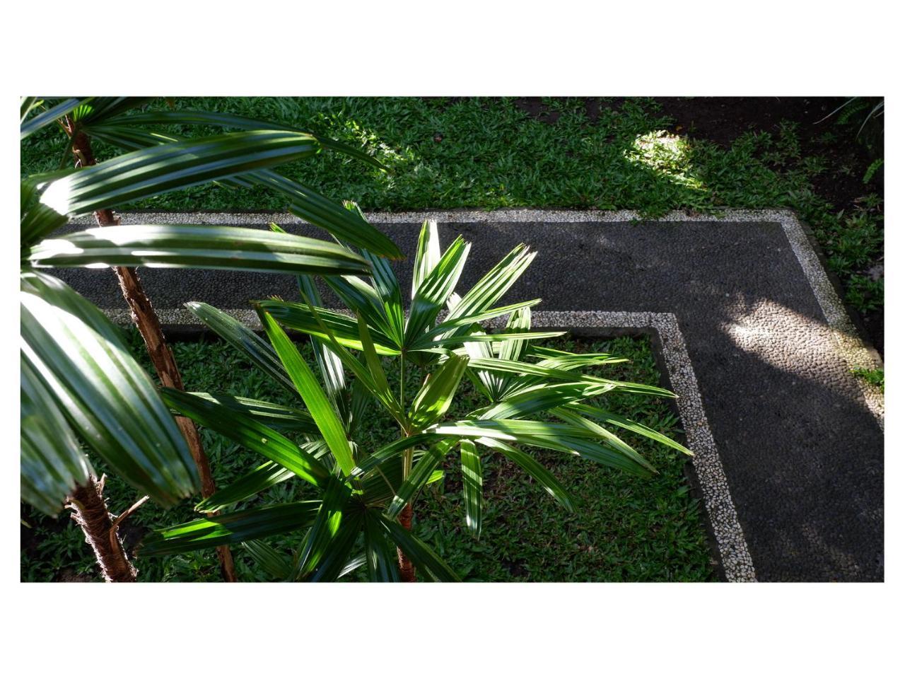 Appartamento In Da Garden Ubud Esterno foto