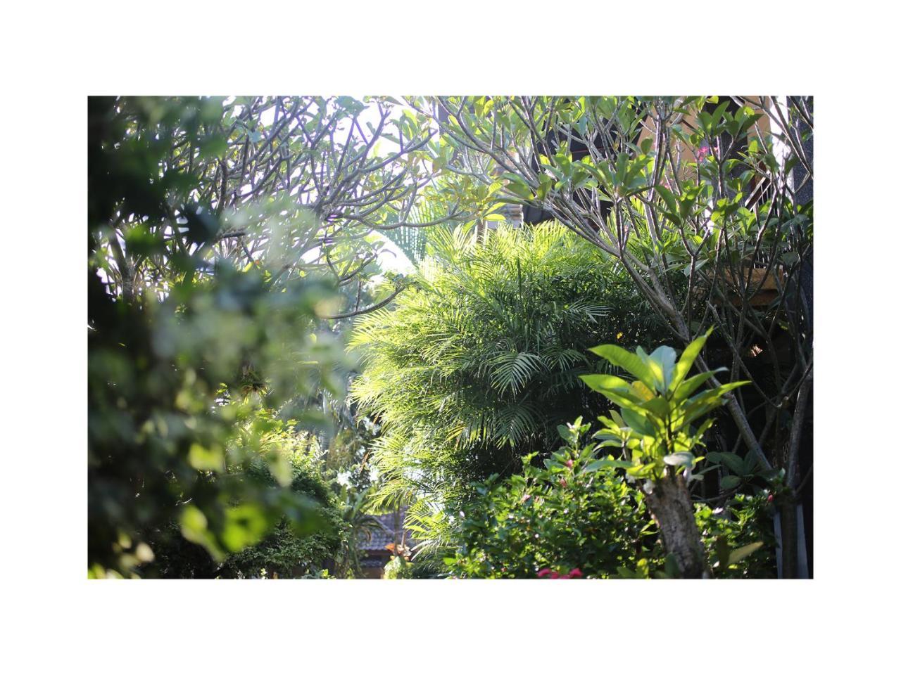 Appartamento In Da Garden Ubud Esterno foto